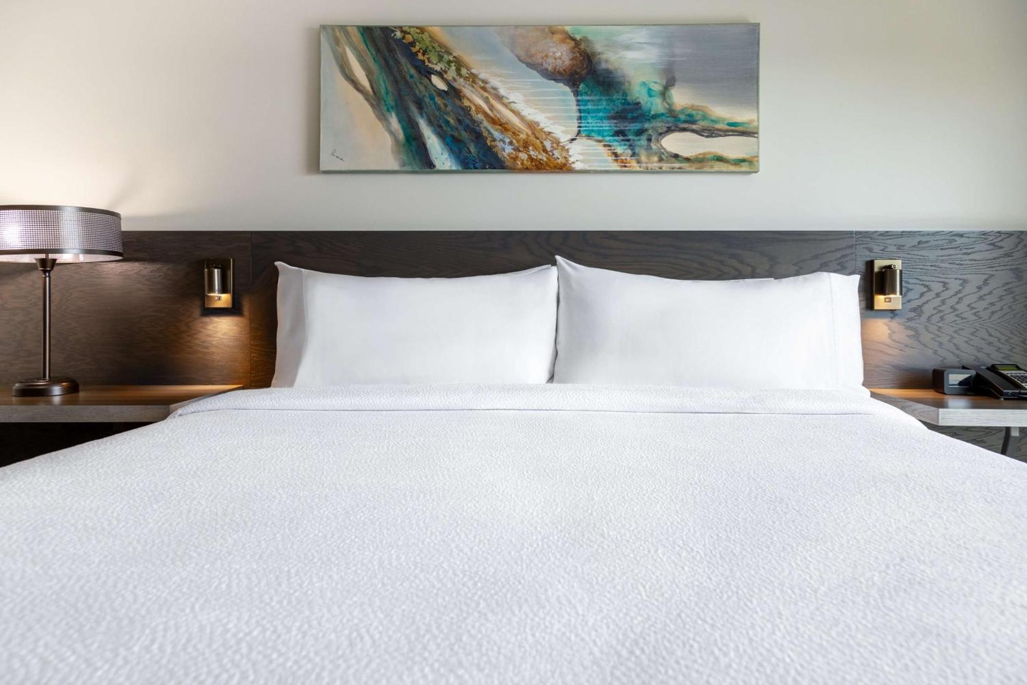 Hilton Garden Inn Fredericton Esterno foto